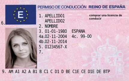 Spanish Driver’s License Online