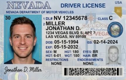 Las Vegas Driver’s License Online