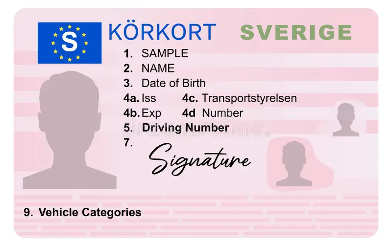 swedish-driving-license-isolated-white-background-person-driver-340608012